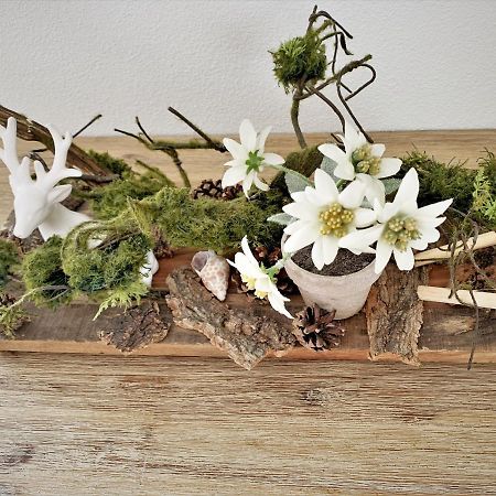 Edelweiss Lejlighed Oberstaufen Eksteriør billede